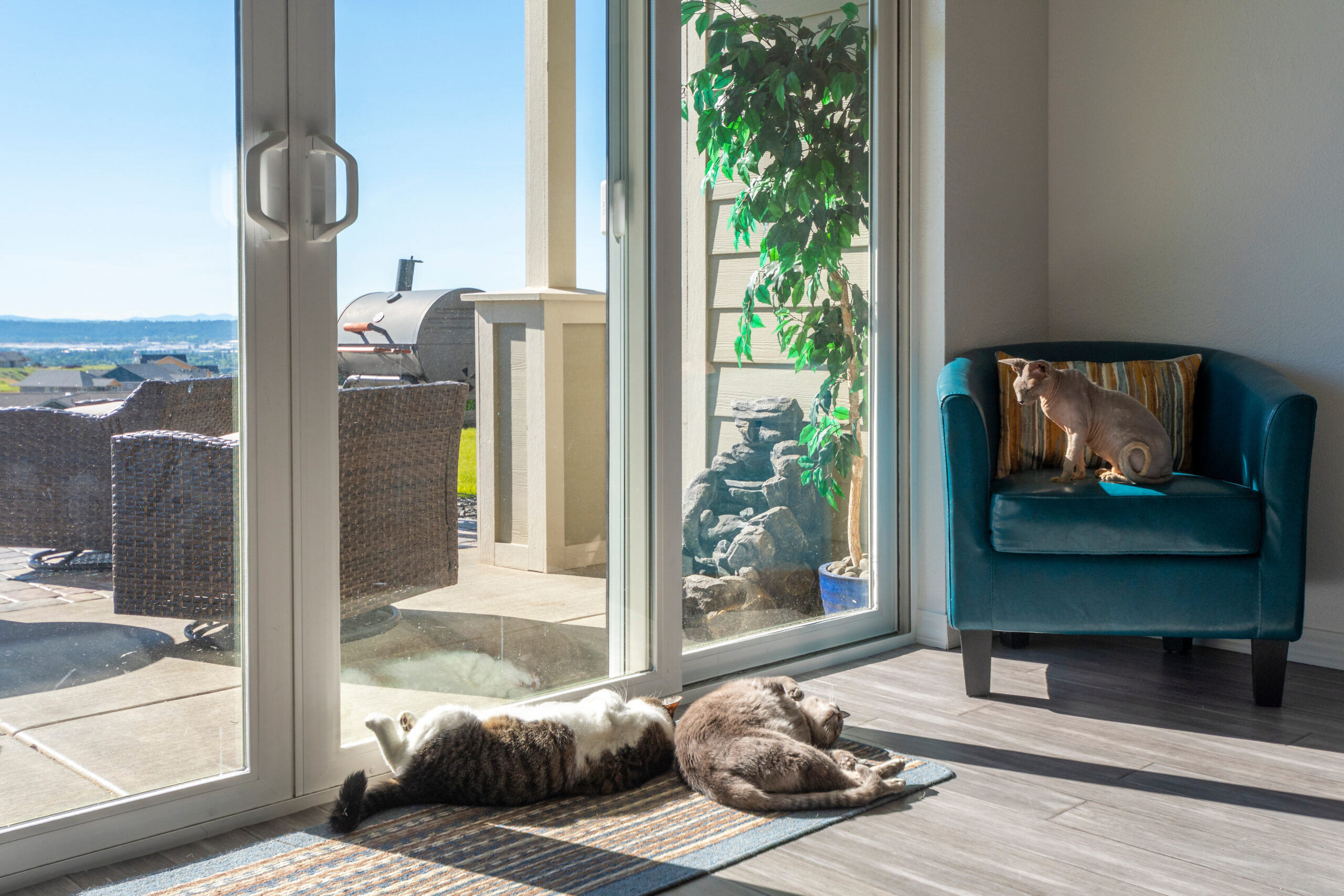 Image of energy efficient sliding doors and pets